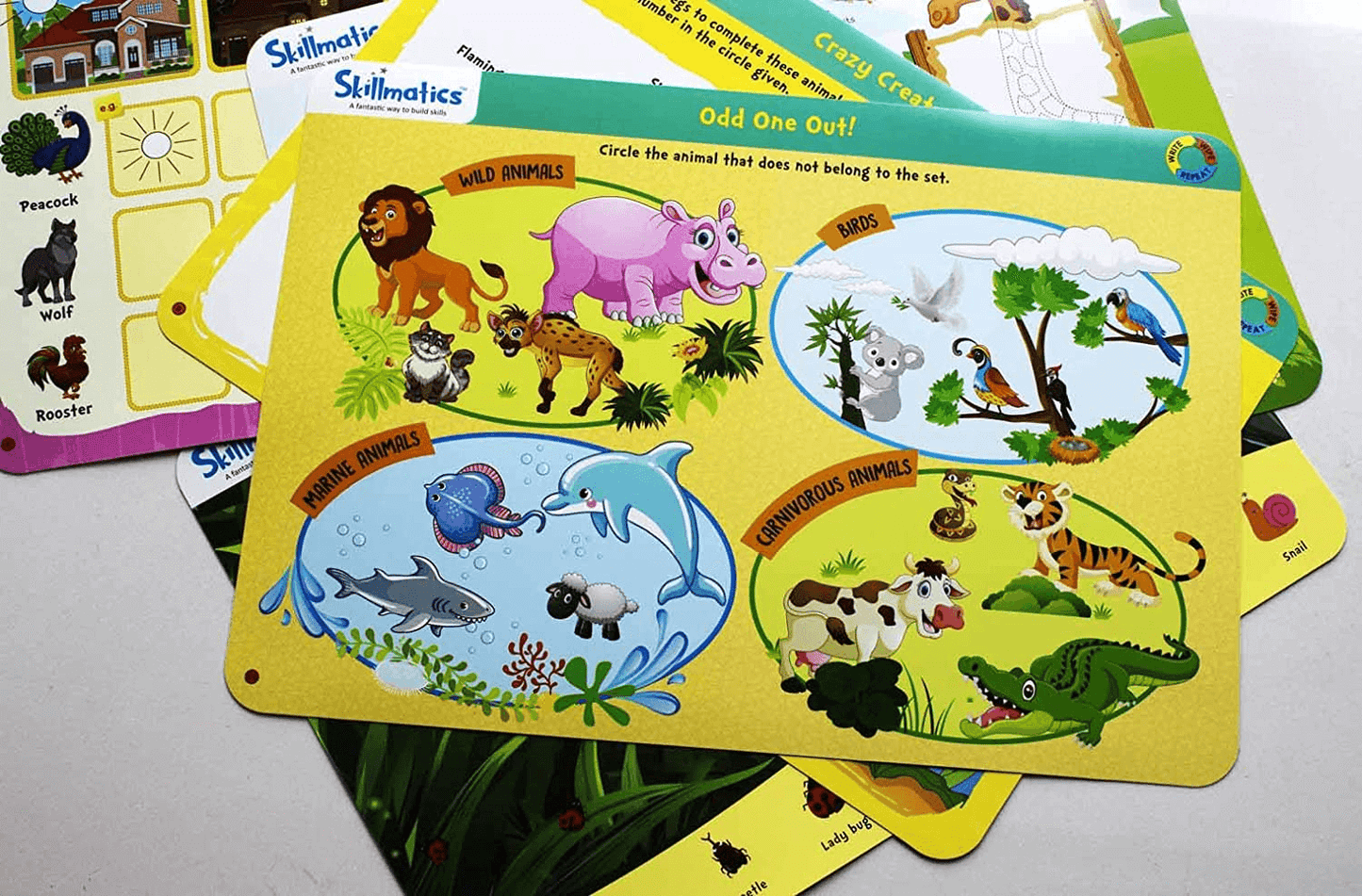 "Animal Kingdom activity mats for kids with images of wild, water, and carnivorous animals for learning and fun"