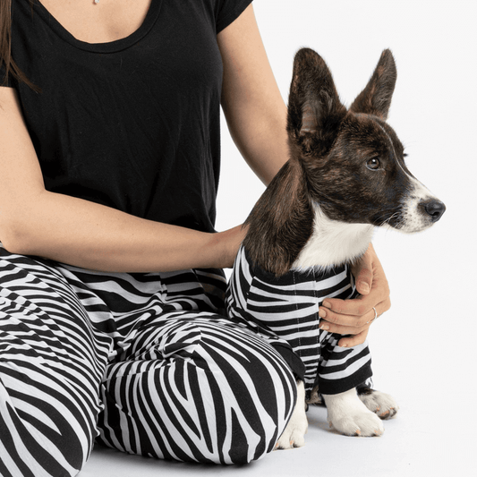 person wearing black shirt and striped pants cuddles a small dog in a matching striped outfit.