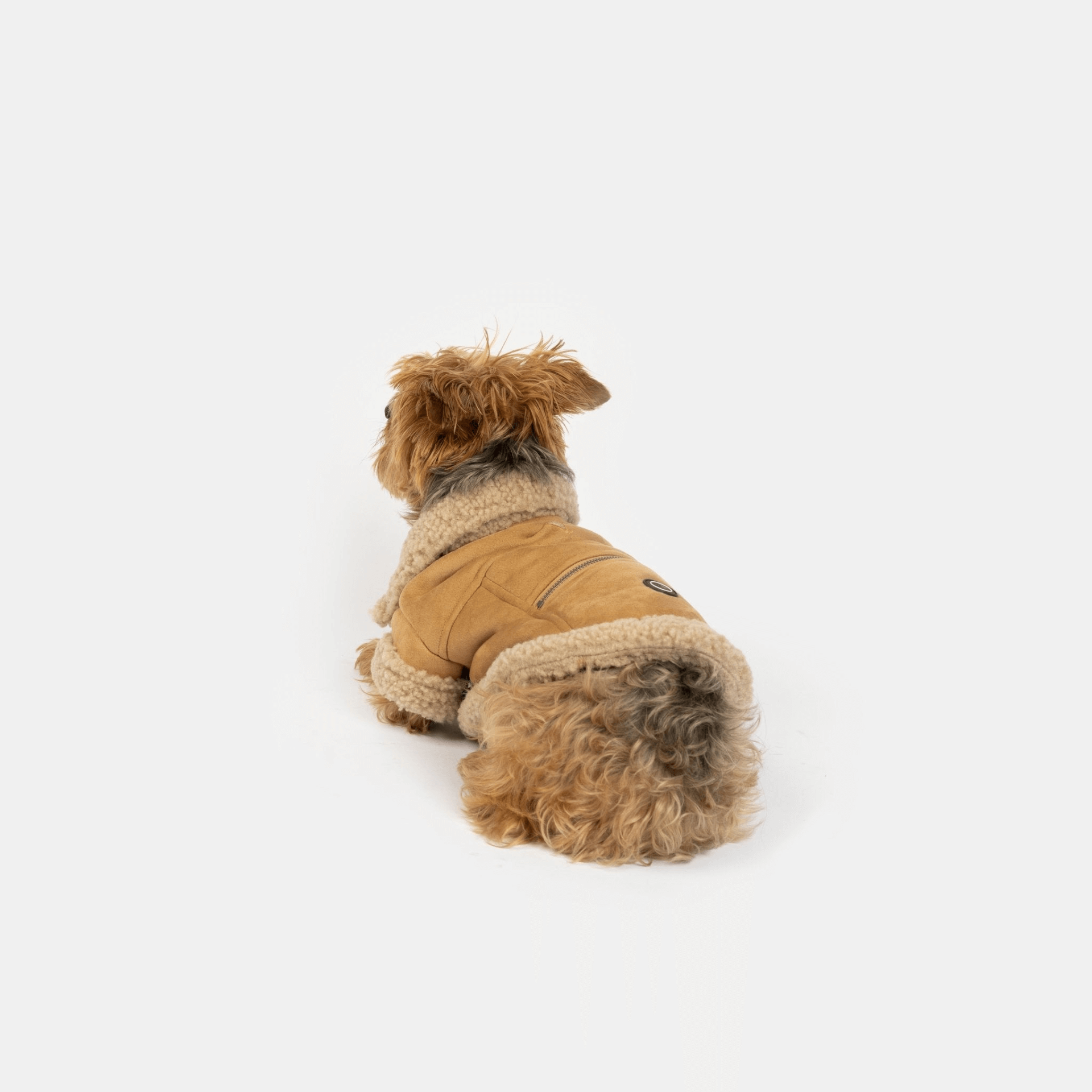 Millie Dog Jacket